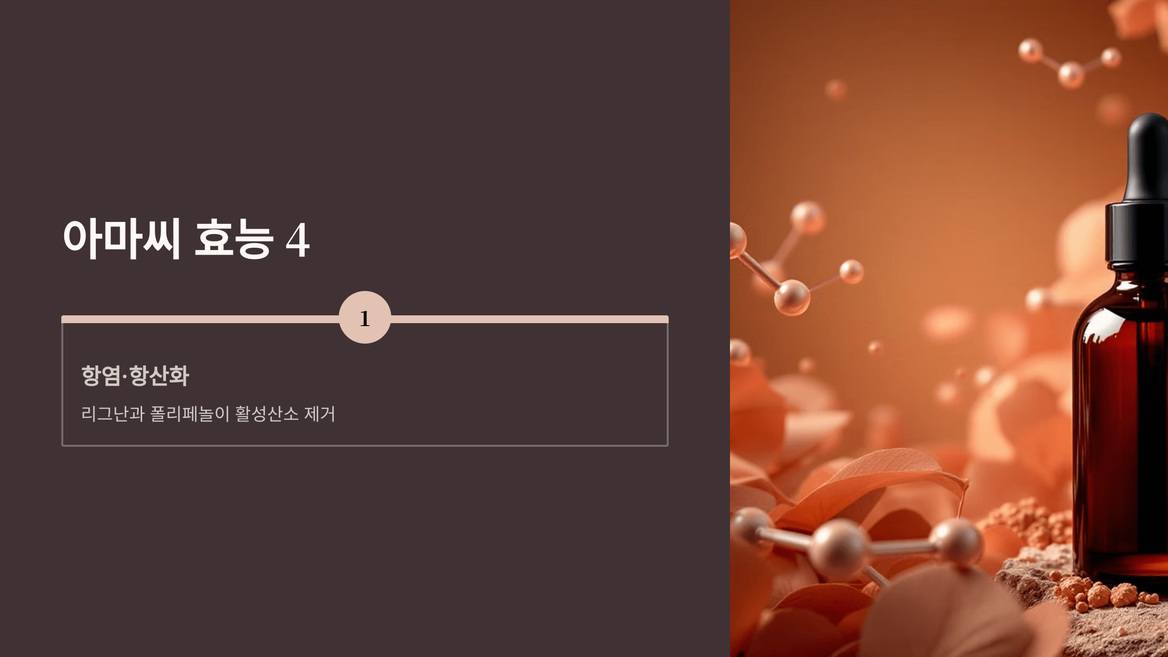 아마씨 사진입니다.