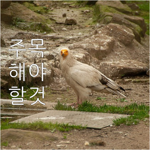 대형폐기물 버리기, 강서구는 배출번호..