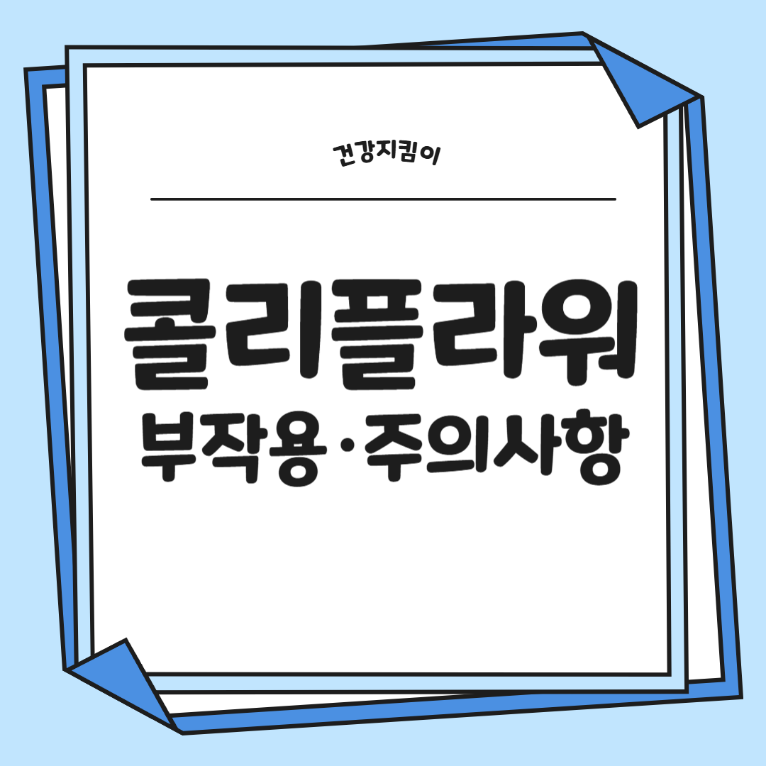 콜리플라워 효능 성분 먹는방법 부작용 고르는법