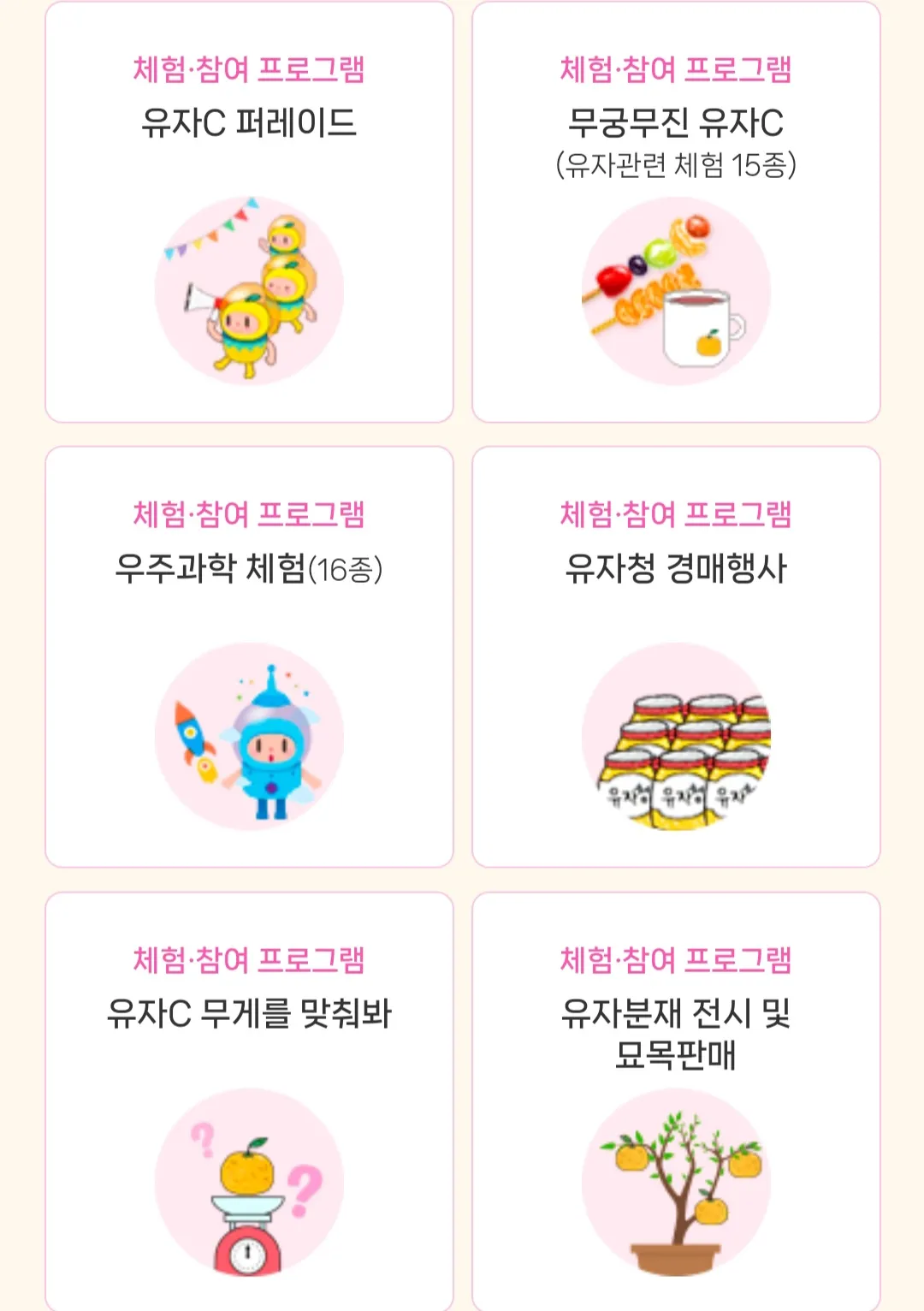유자축제장 - 상설프로그램 (체험&amp;#44;참여 프로그램)