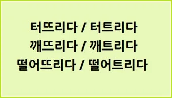 떨어뜨리다 떨어트리다 맞춤법 혼동 끝 예문으로 완벽 이해하기_27