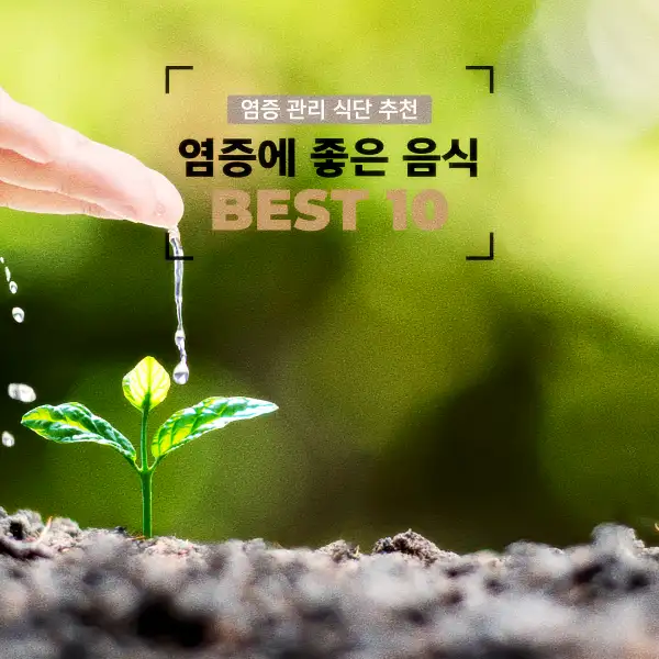 염증에 좋은 음식 BEST 10