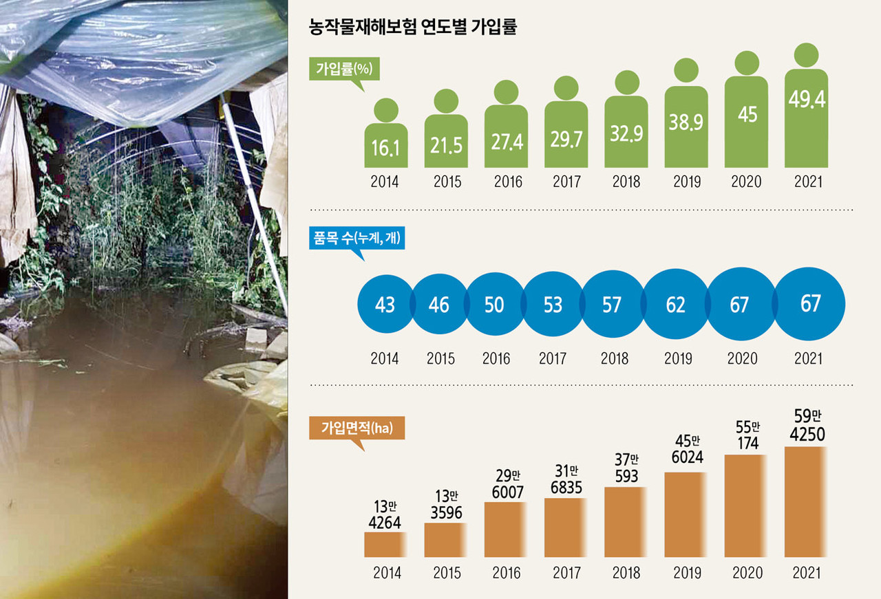 2025 손해평가사 자격증 전망을 설명하는 썸네일 이미지로, 수익, 취업, 활동 분야 등 주요 정보를 아이콘과 텍스트로 강조한 구성입니다. 파란 배경에 전문가적인 느낌을 주는 그래픽 스타일입니다.