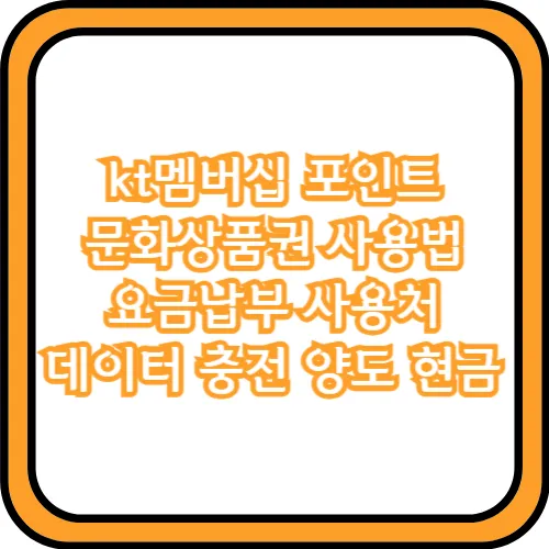 kt멤버십 포인트 데이터 충전