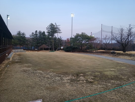 연습용그린