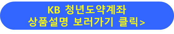 KB 청년도약계좌