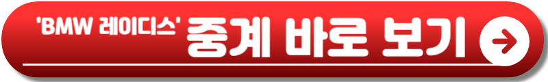 BMW 레이디스 챔피언십