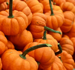 단호박 효능 부작용 영양성분 고르는법 칼로리