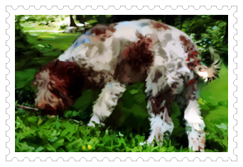 오리에서 송로버섯까지