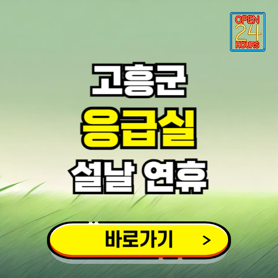 고흥군 설날 연휴 비상진료 응급실 병원 찾기 ❘ 내근처 24시 야간 심야 휴일 가능한 곳