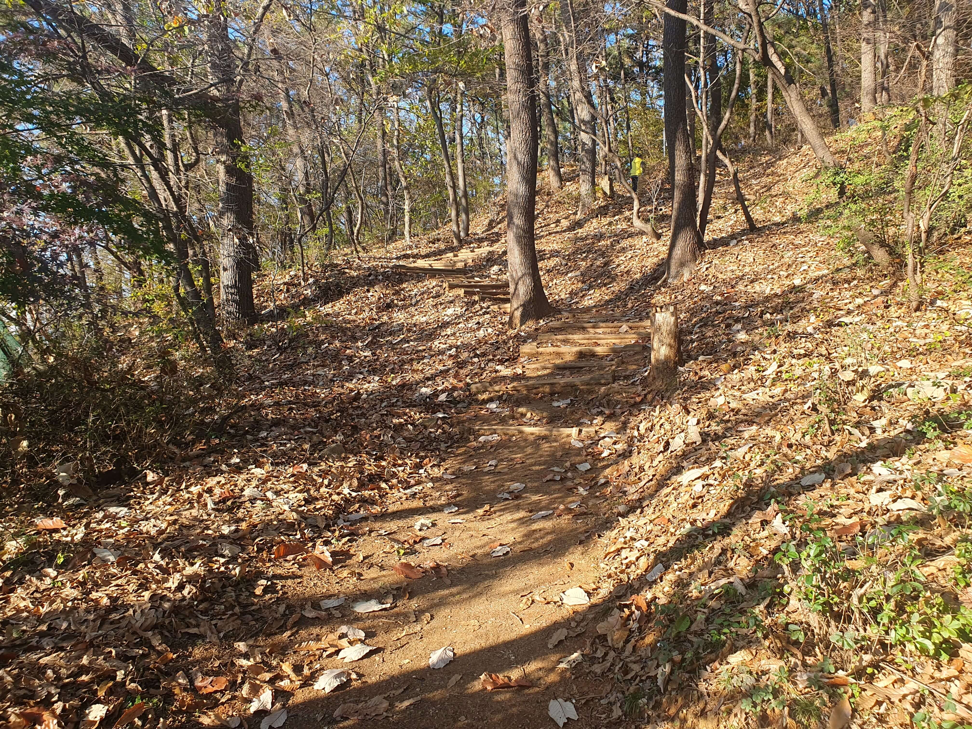 봉서산 등산로