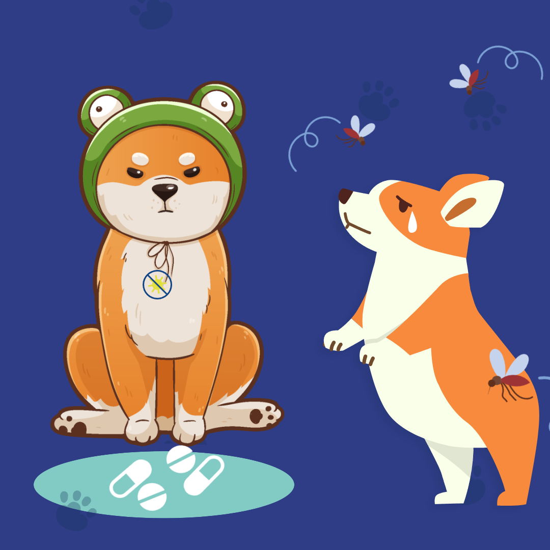 강아지 심장사상충