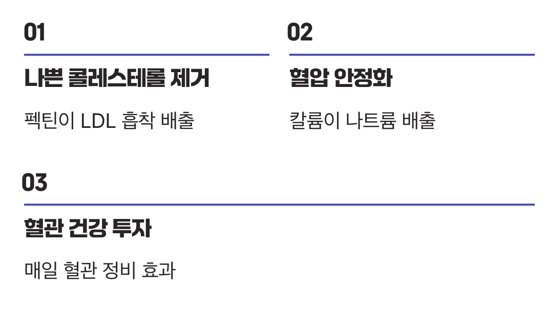 4. 혈관 속 노폐물을 씻어내는 청소부