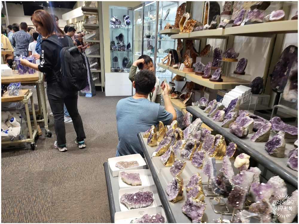 워싱턴 스미스소니언 국립 자연사 박물관