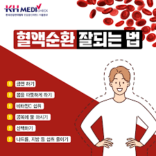 혈액순환에 좋은 것