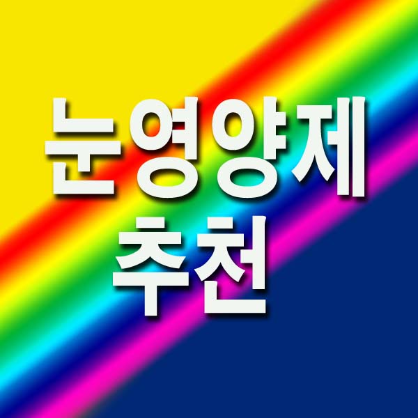눈영양제 추천