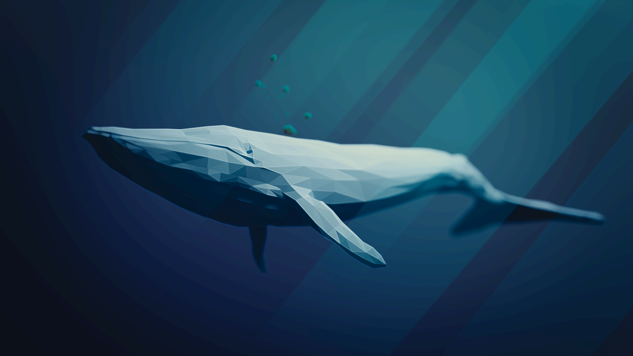 Blue Whale 흰수염고래 동서양의 이름이 각각 존재