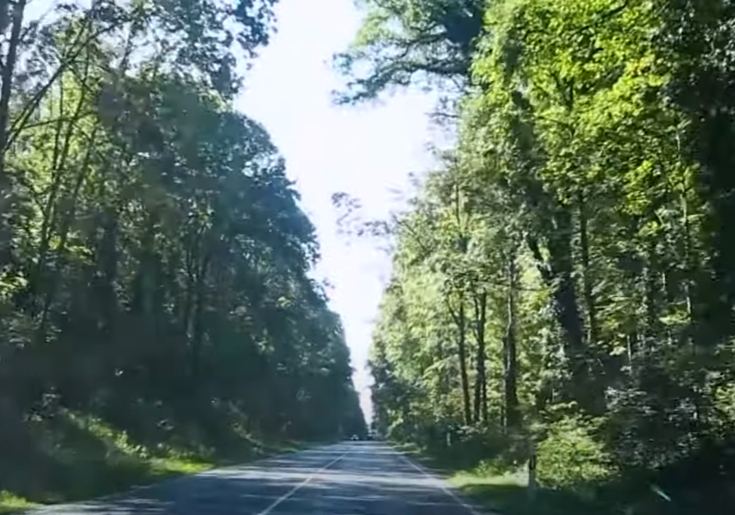 경기도 드라이브코스 추천