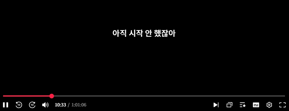 한글 자막이 정상적으로 화면에 출력되는 모습