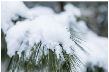 자동차 눈 제거 용품 방법
