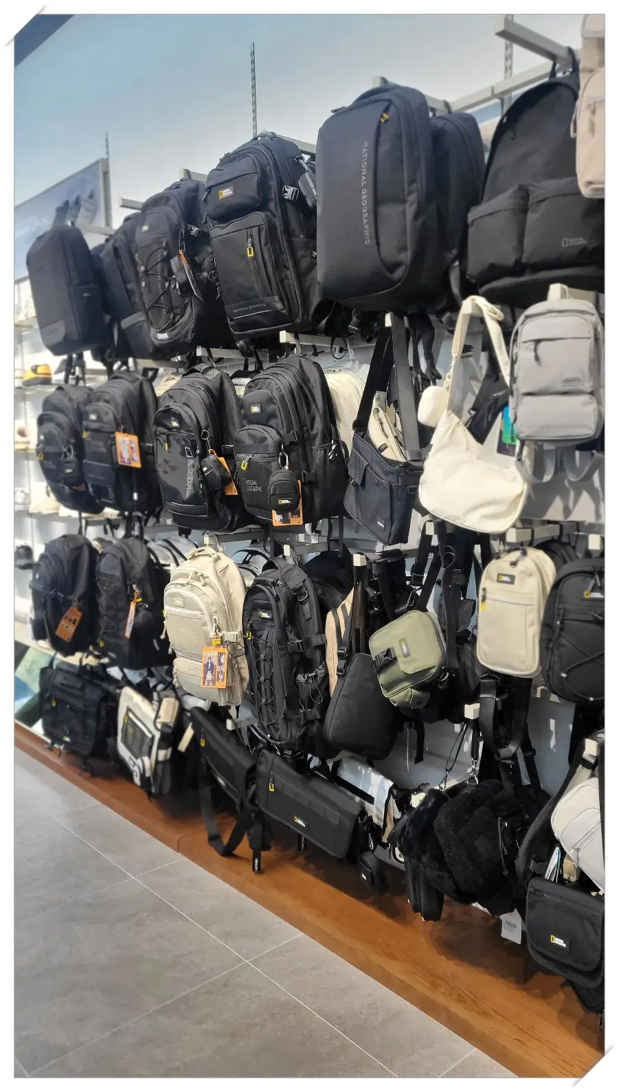 네셔널 지오그래픽-가방-매장-디스플레이