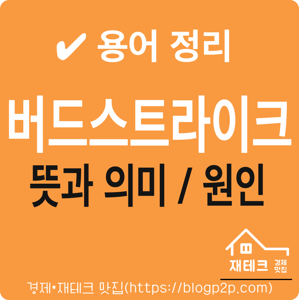 버드스트라이크(bird strike) 뜻과 의미 발생 원인