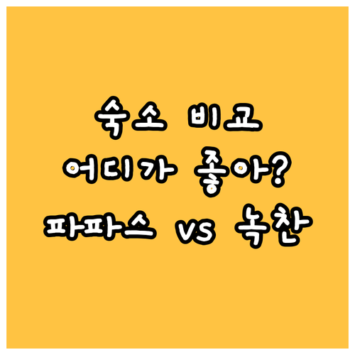촘 통 숙소 완벽 비교.. 파파스 홈
