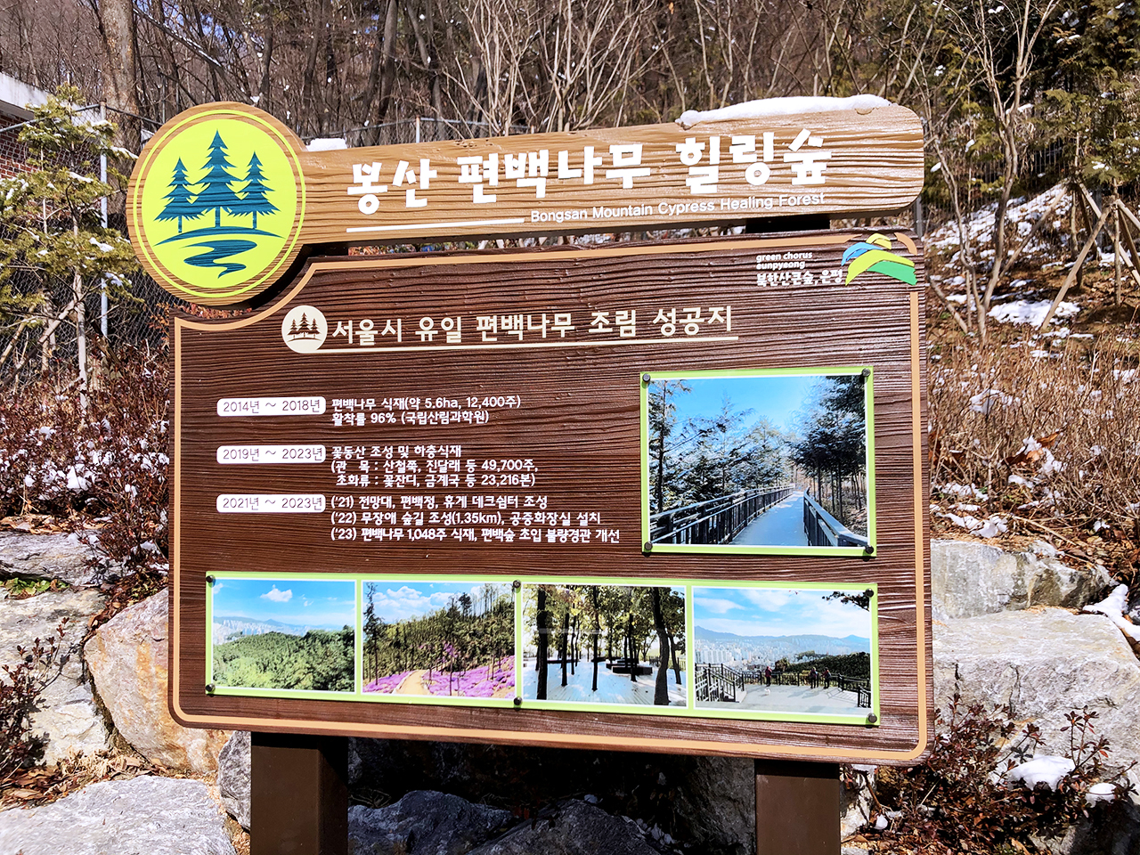 봉산 편백나무 힐링숲 도착
