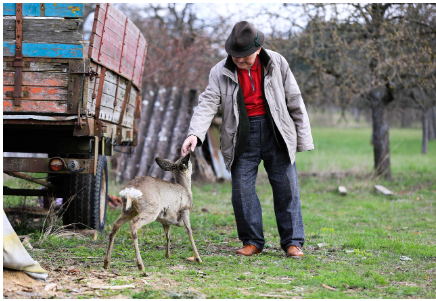 60세이상 노인혜택
