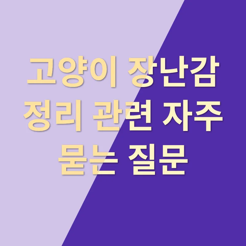 고양이 장난감 정리_4