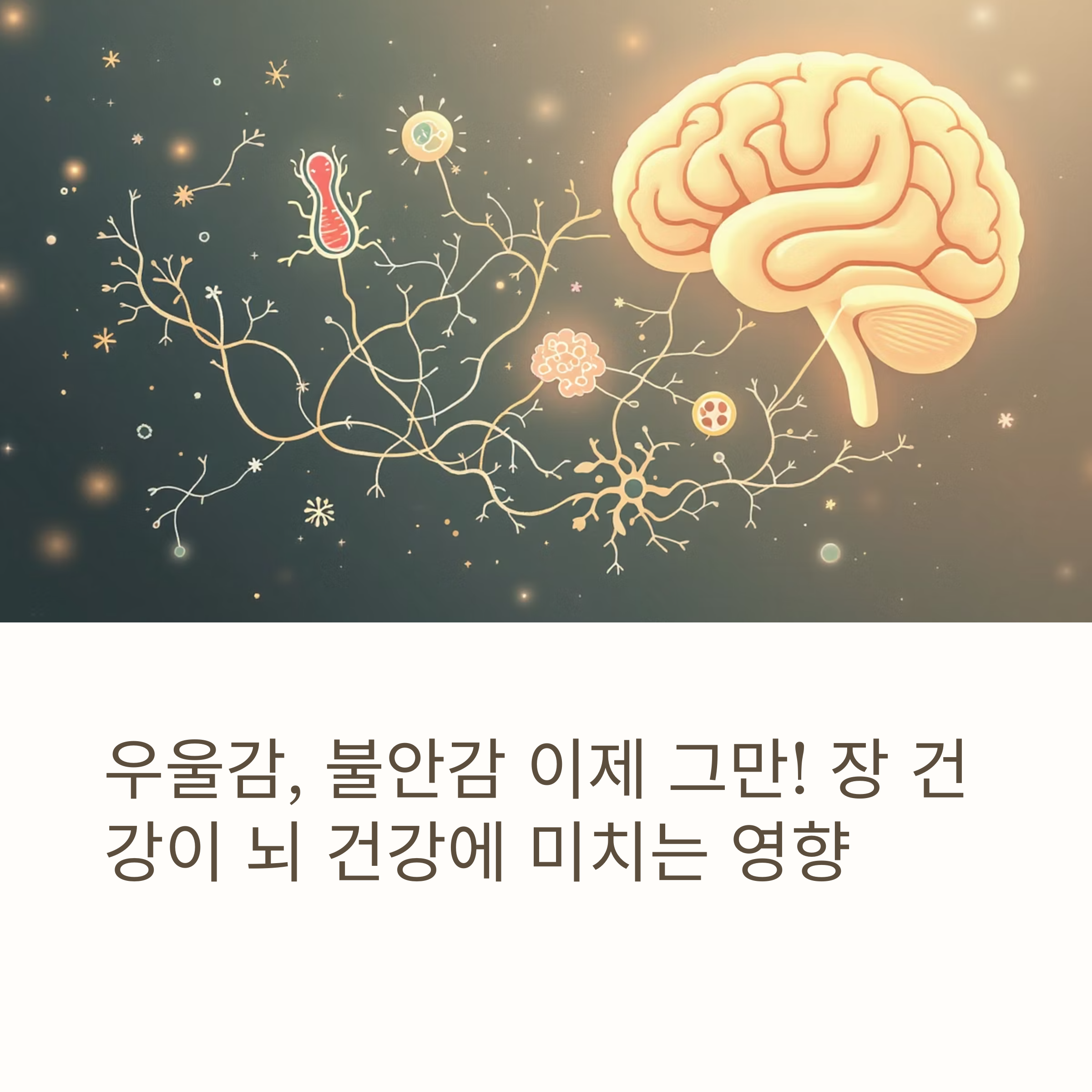 장 건강으로 찾은 뇌 활성화 솔루션