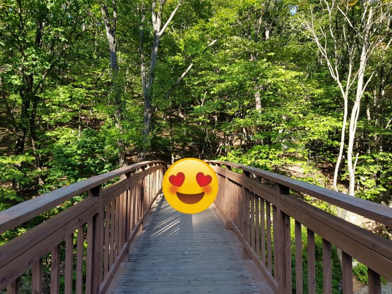 직접 찍은 용화산 자연휴양림 산책로의 모습