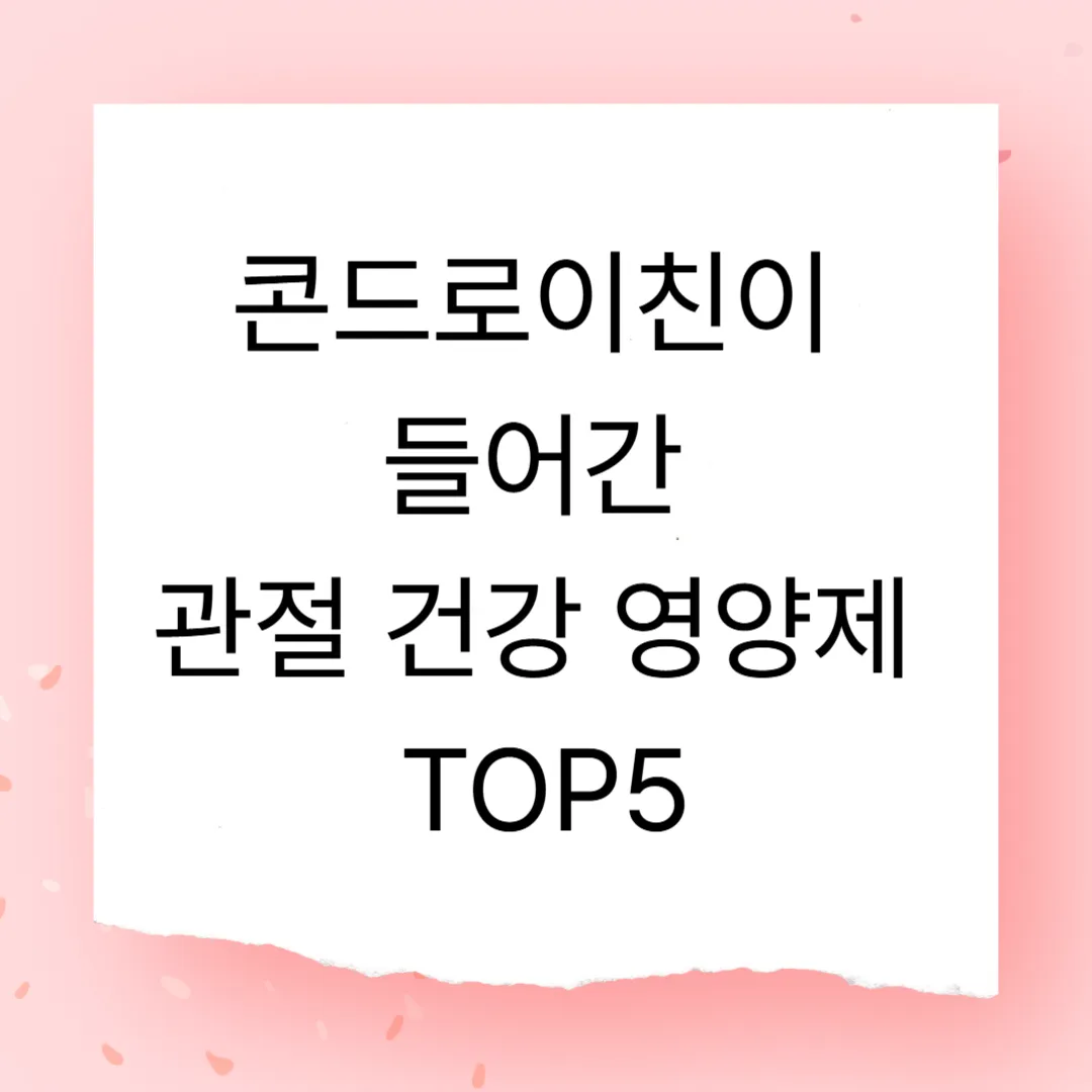 콘드로이친이 들어간 관절 건강 영양제 TOP5 – 성분·가격·후기 분석