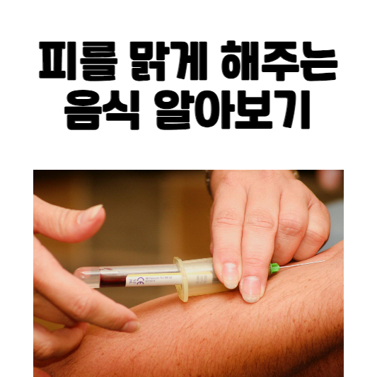 피를 맑게 해주는 음식