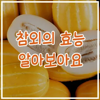 참외 효능 및 영양 정보 섭취 효과 정리_23