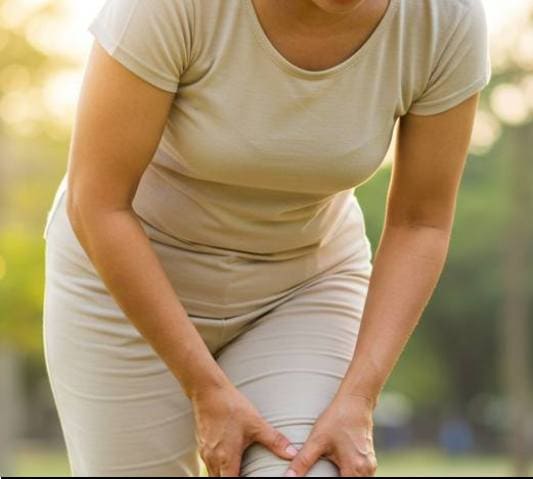 소포리코사이드 효능, 갱년기 증상 개선