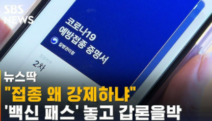 백신패스 관련주 대장주