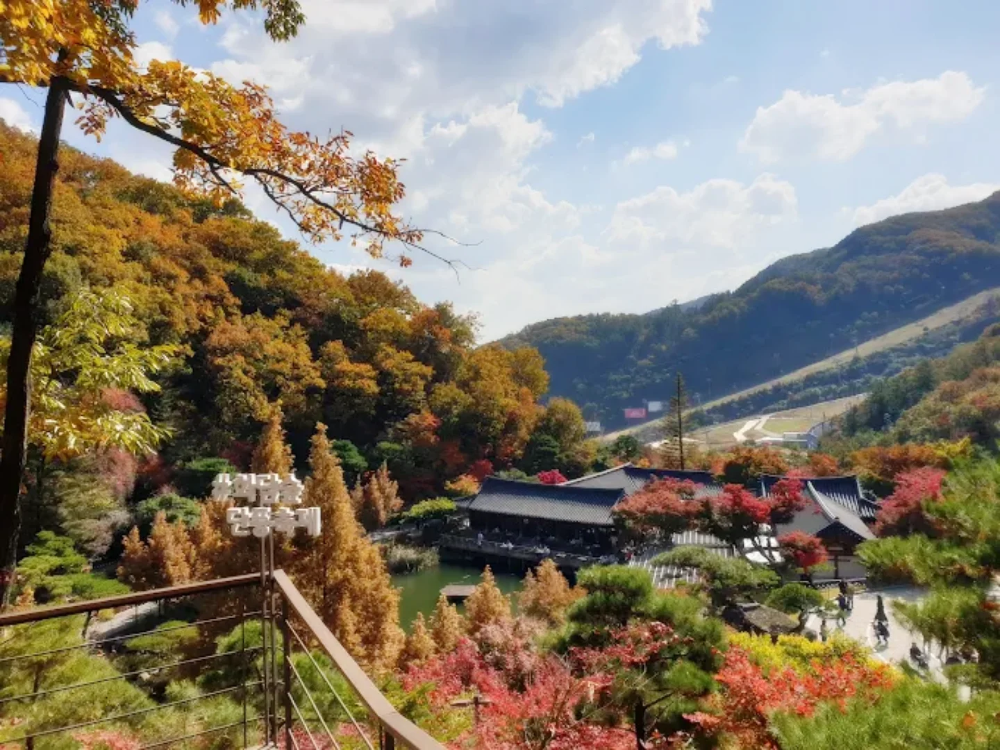 화담숲 숨은 포토스팟