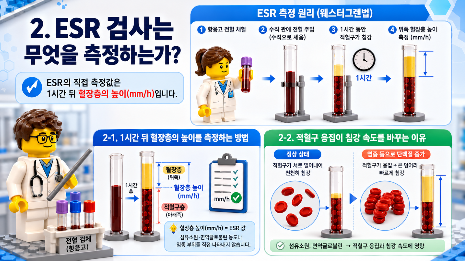 항응고 전혈과 웨스터그렌법으로 ESR을 측정하는 과정과 적혈구 응집 원리를 설명한 레고 스타일 의료 인포그래픽