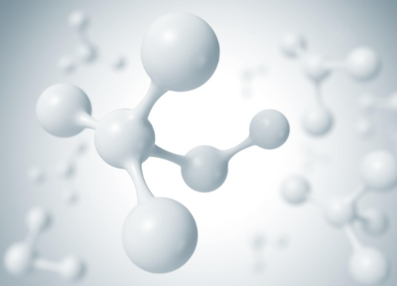 드시모네-유산균