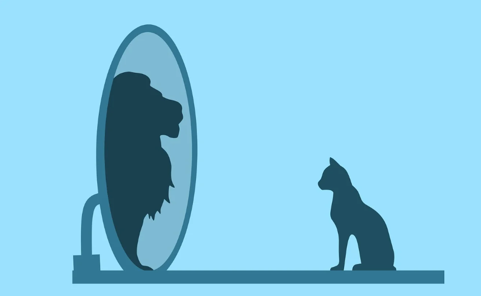 과대평가되는 직업과 과소평가되는 직업