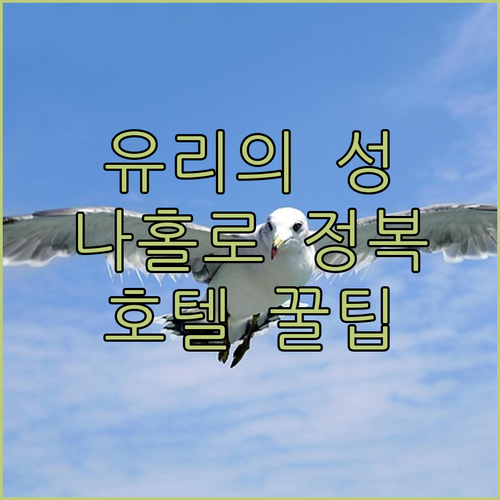 나홀로 제주 유리의 성 가는 법과 가..