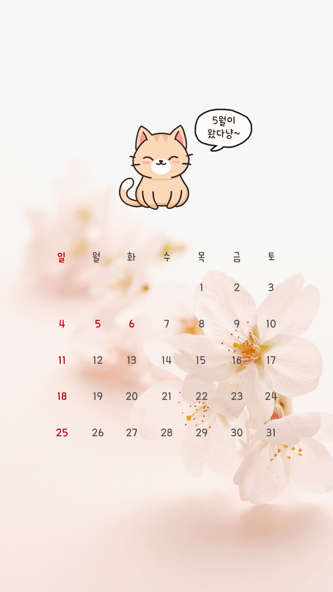 2025년 5월 달력 스마트폰 배경화면 이미지 그림 사진 모음