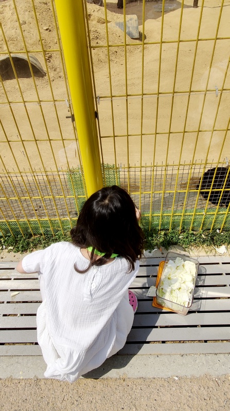 토끼에게 밥을주고있는 쿠앙이