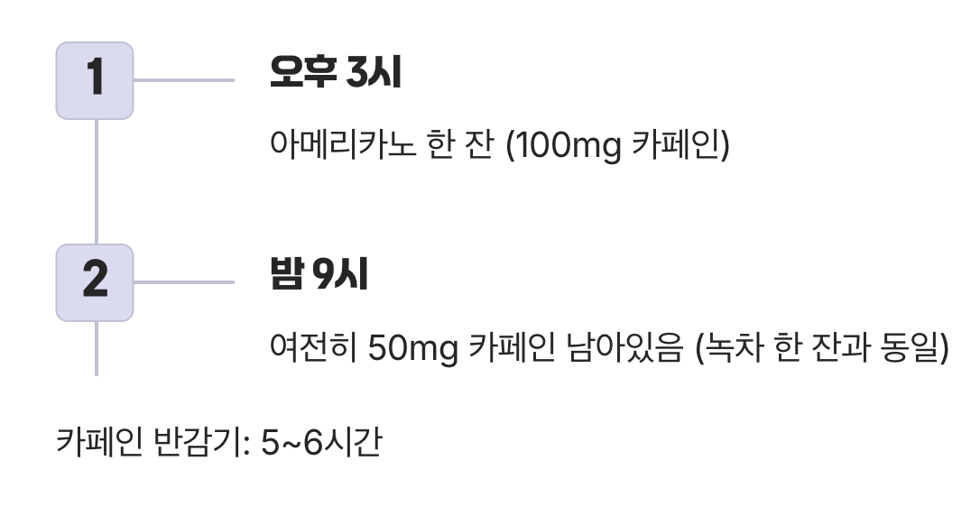 ‘반감기’라는 시간의 마법