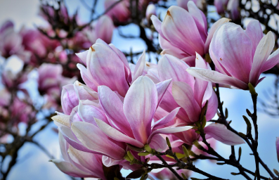 화담숲-예약하기