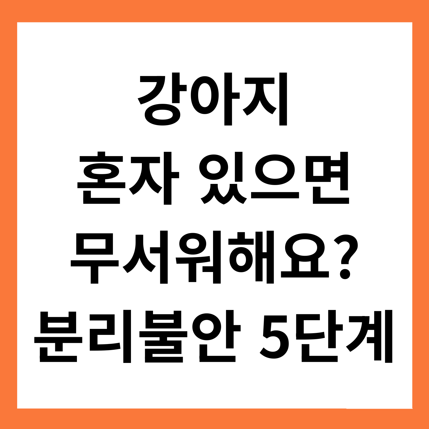 강아지가 혼자 있는 걸 무서워해요: 분리불안 교정 5단계 루틴
