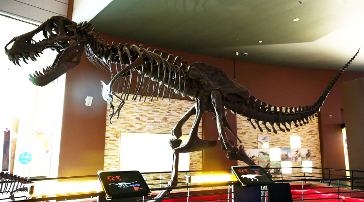 해남 공룡박물관