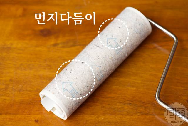 먼지다듬이 퇴치 살충제 먼지다듬이박멸