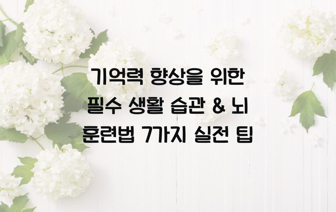 기억력 향상을 위한 필수 생활 습관 & 뇌 훈련법